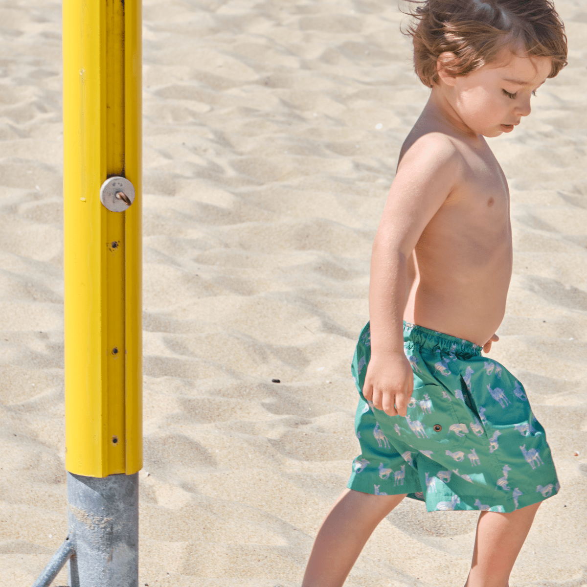 Swimming Shorts Zebra - Suuky Porto